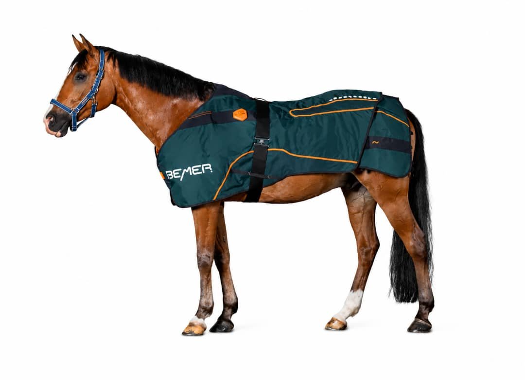 BEMER Pferdedecke