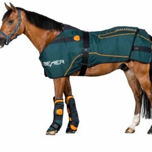 BEMER Horse-Set – Komplettset für Pferde